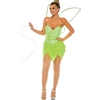 Pretty Pixie Sexy Adult Costume