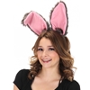 Bendy Bunny Ears