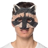 Raccoon Mask