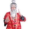 Martial Arts Master Wig