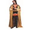 Royal Sultan Adult Costume