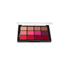 Ben Nye All-For-One Lip Color Palette