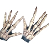 Bone Hands Latex Gloves