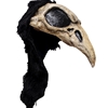 Crow Helmet