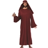 Wise Man Adult Costume