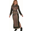 Viking Goddess Adult Costume