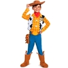 Toy Story Woody Deluxe Child Costume