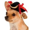 Pet Pirate Girl Hat
