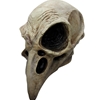 Crow Skull Mask