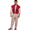 Aladdin Deluxe Adult Costume