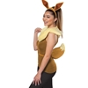Eevee Accessory Kit