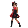 Harley Quinn - Most Wanted Kids Costume