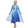 Frozen 2 Elsa Adult Costume