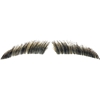 Human Hair Eyebrows - Brushed Style