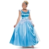 Cinderella Deluxe Adult Costume