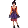 Hocus Pocus Mary Adult Costume