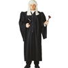 Judge Robe Deluxe Adult Costume