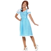 Kansas Country Girl Adult Costume