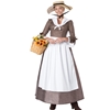 American Colonial Dress Adult Costume