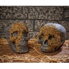 Moss Covered Skull | The Costumer