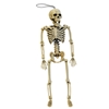 Posable Skeleton | The Costumer