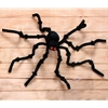 Giant Spider | The Costumer