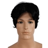 Men's Bargain Wig | The Costumer