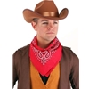 Cowboy Hat