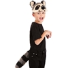 Plush Raccoon Headband