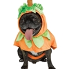 Pumpkin Pup Poncho