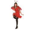 Ladybug Dress - Teen