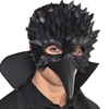 Crow Feather Mask