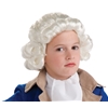 Colonial Boy White Wig