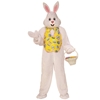 Easter Bunny Mascot Adult Costume