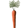 Jumbo Bunny Carrot