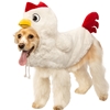 Chicken Pet Costume
