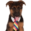 Pet Rainbow Tie Costume