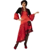 Adult Spanish Dancer Costume