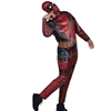 Deadpool Adult Costume