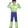 Hulk Toddler Costume