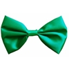Bowtie- Green Satin