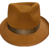 Brown Permalux Fedora with Brown Band