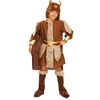 Viking Boy Kids Costume