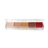 Tattoo Cover Alcohol Palette (AAP-21)