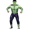 Hulk Adult Costume Includes Jumpsuit and Mask