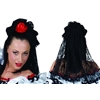 Black Lace Veil with Red Rose Hairclip