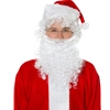 Curly Santa Wig and Beard Economy