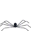 Spider 50" Black/Purple Shaking