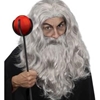 Wizard Wig & Beard Set Gray