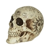 Fortune Telling Skull 7"